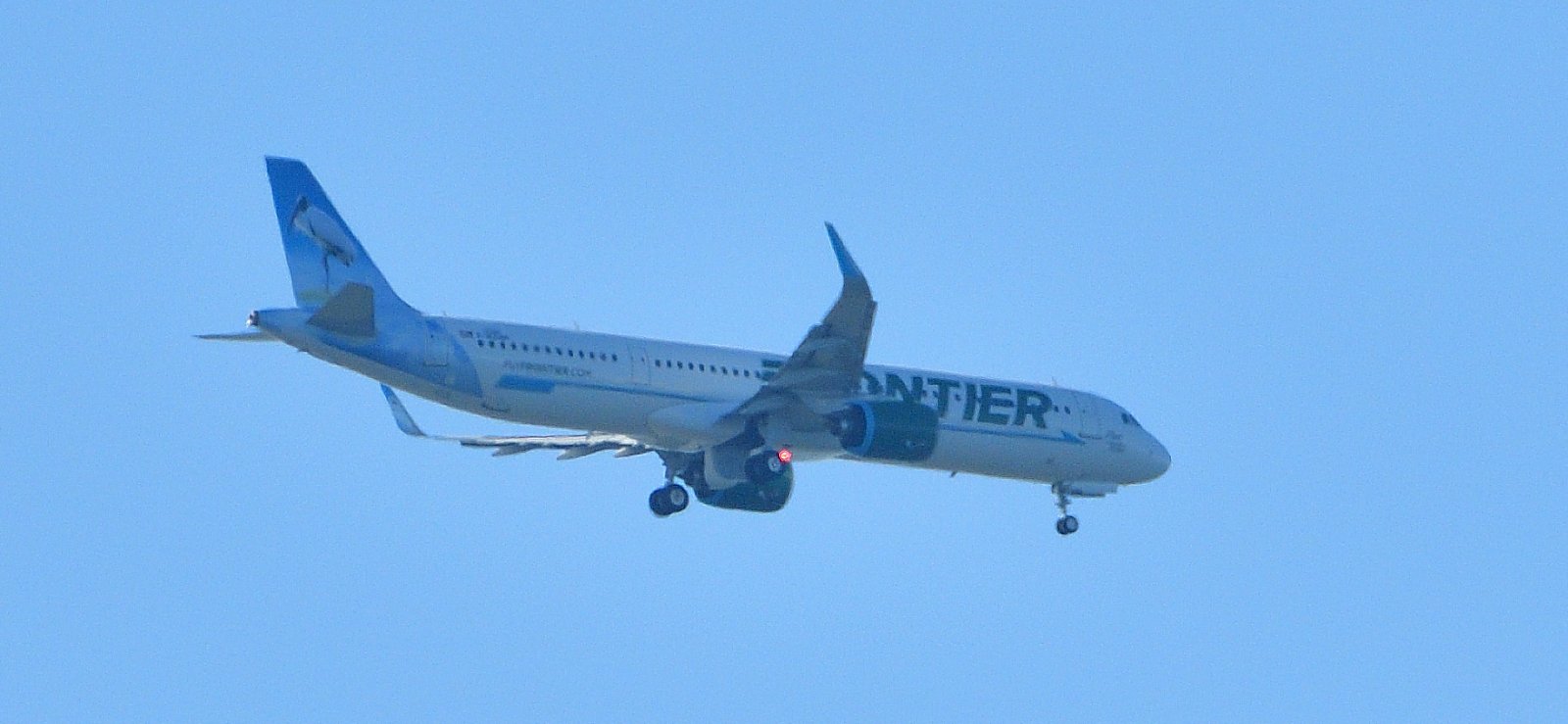 Airbus A321 over Mobile Bay JAN 24 2025