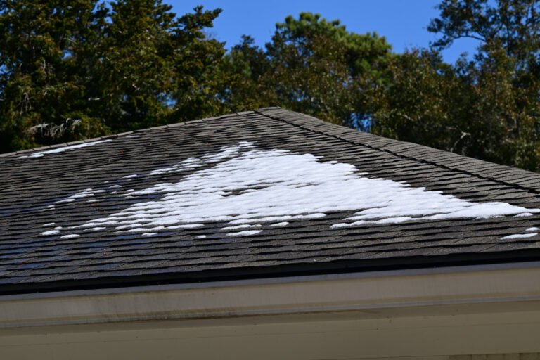Snow remnants