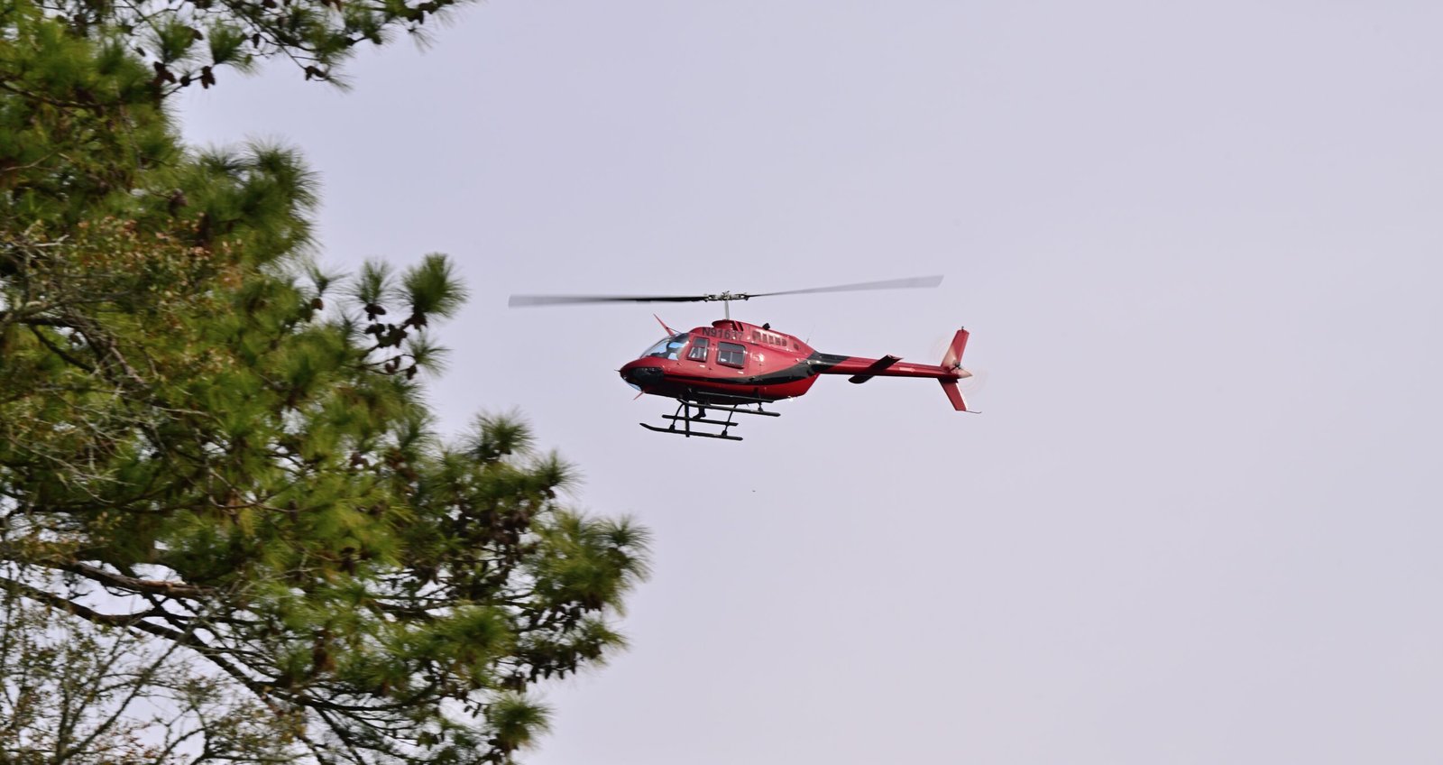 Bell 206 over Fairhope