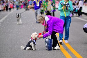 Fairhope's Mystic Mutts of Revelry parade