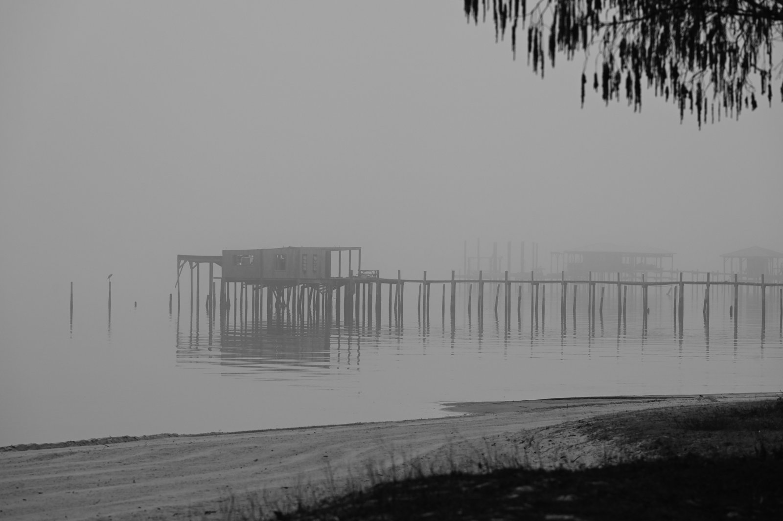 Foggy morning on Mobile Bay...