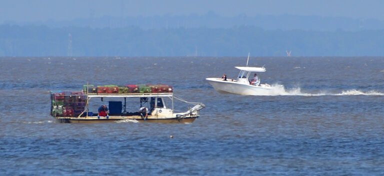 Boats on Mobile Bay