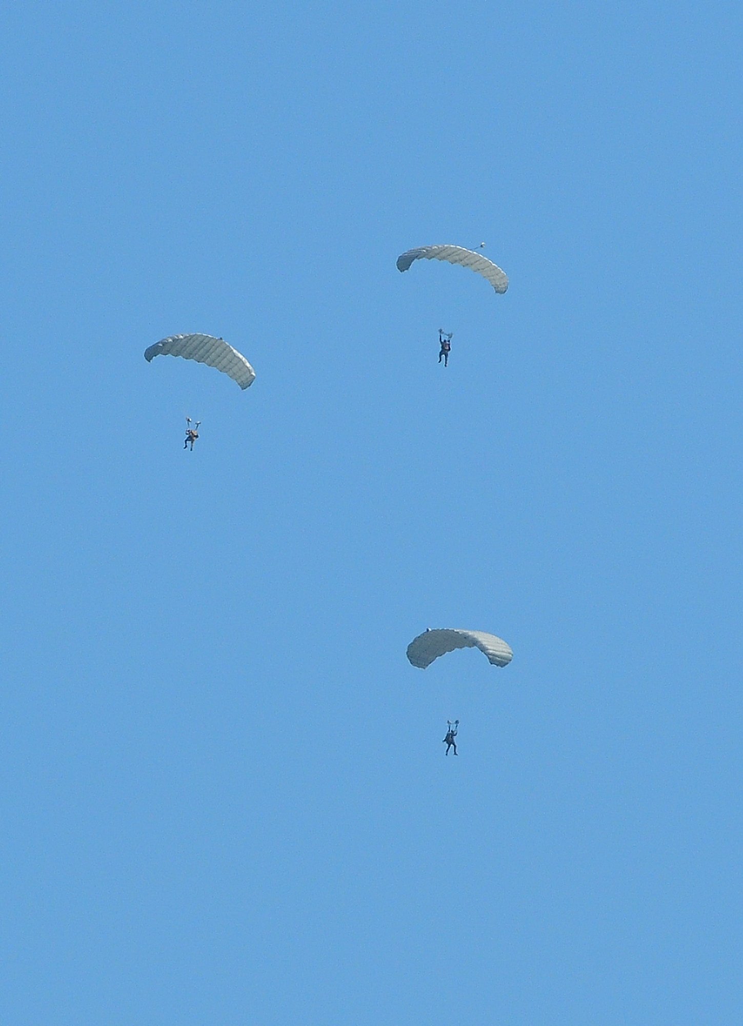 Sky jumpers over Fairhope