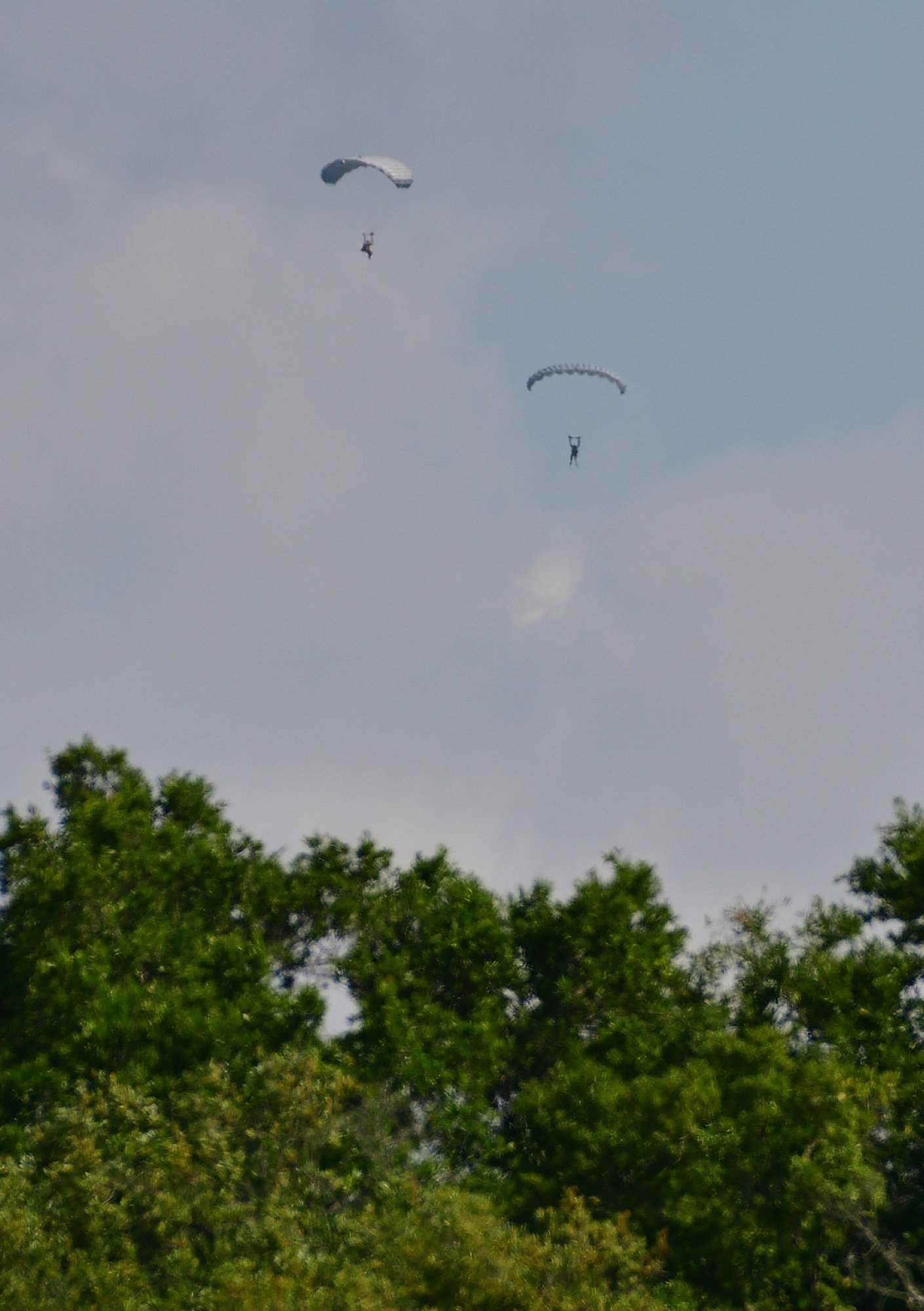 Sky jumpers over Fairhope