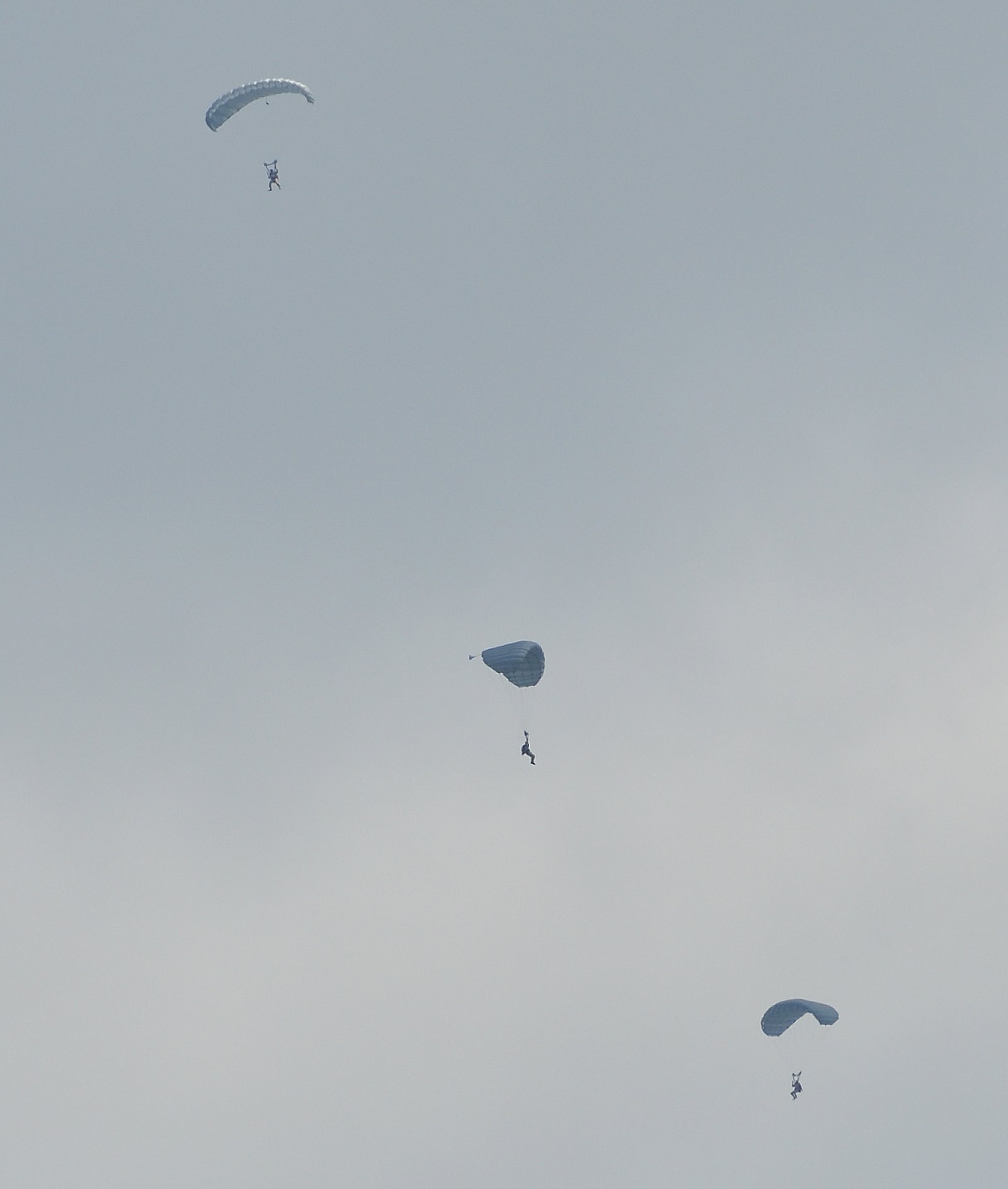 Sky jumpers over Fairhope