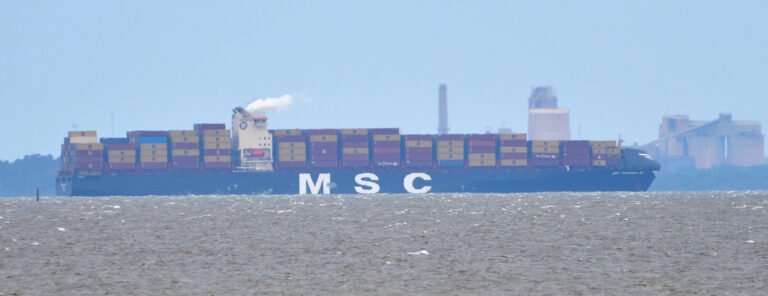 MSC Tavvishi VI