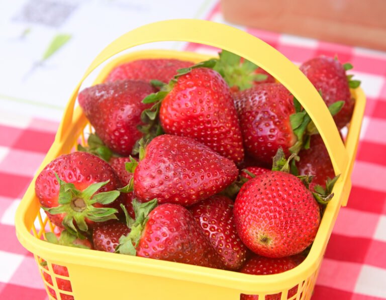 Fairhope Farmer's Market