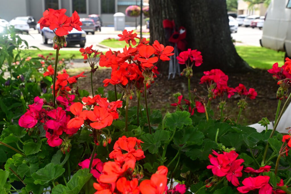 Fairhope Farmer's Market MAY 15th 2025