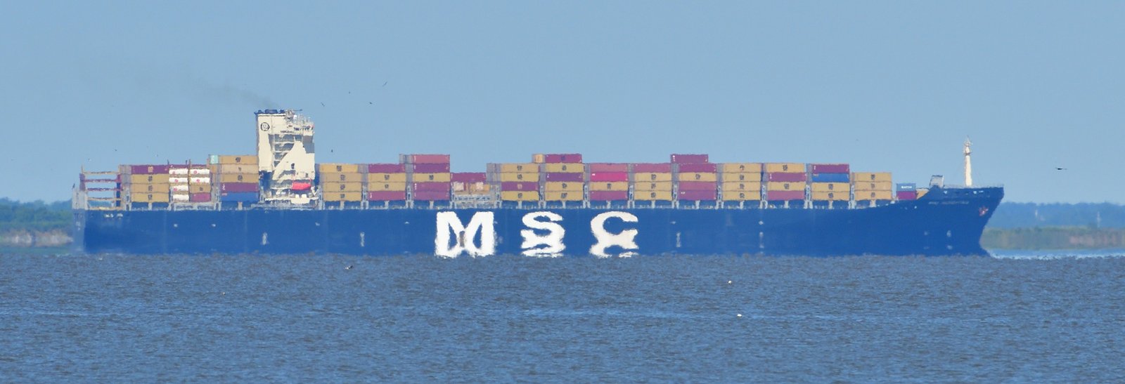 MSC Florentina