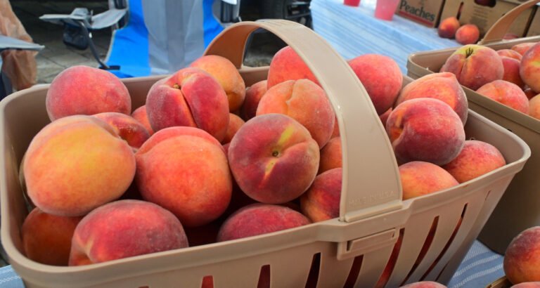 Farmer’s Market JUN 19 2025
