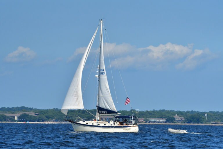 Indigo arrives back in Fairhope