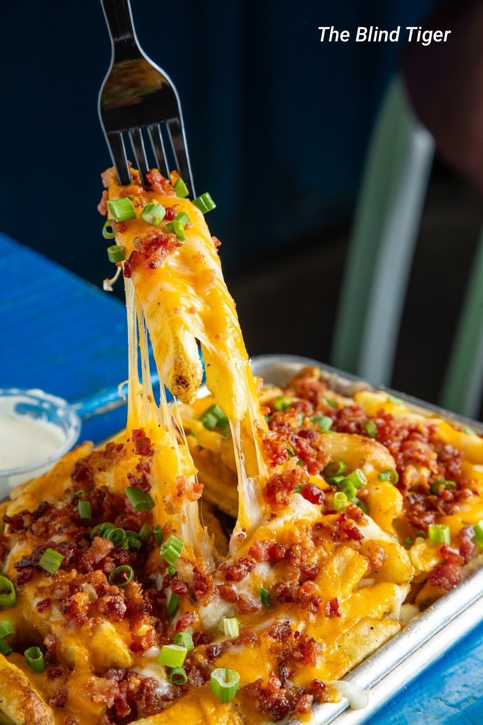 Bacon cheddar cheese fries