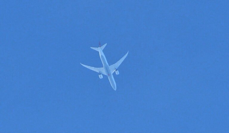 Turkish Airlines flight 181 passes over the eastern shore JUL 3rd 2025