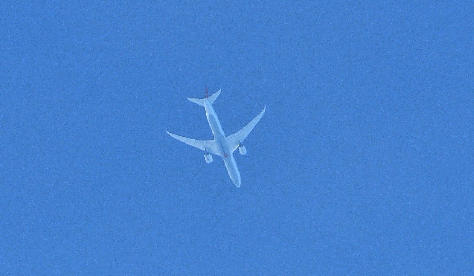 Turkish Airlines flight 181 passes over the eastern shore JUL 3rd 2025