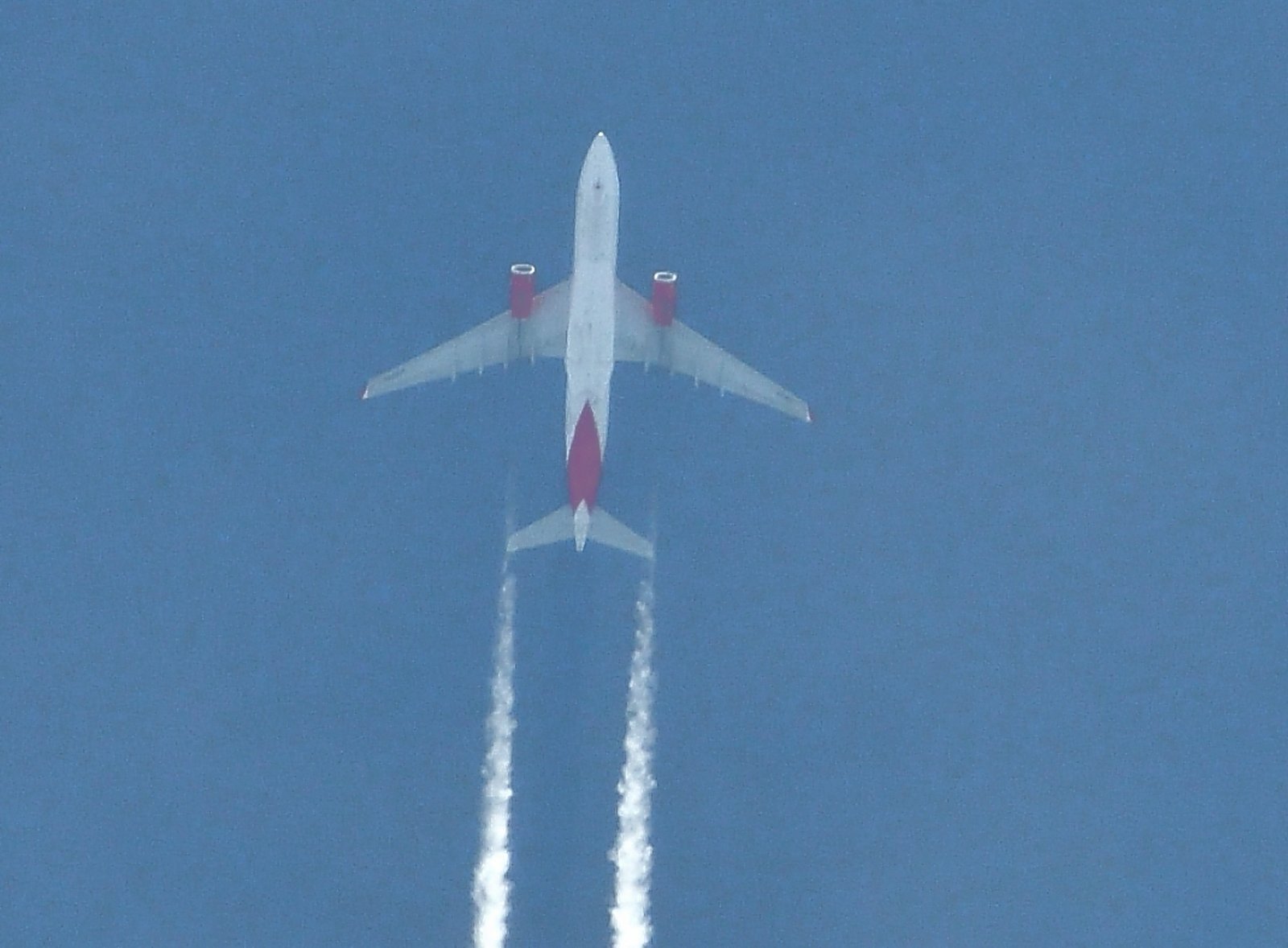 An Avianca Cargo Airbus
