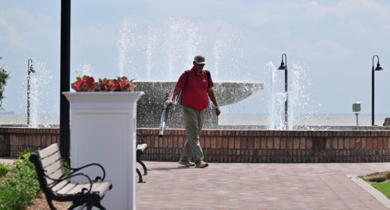 Working Waterfront Update