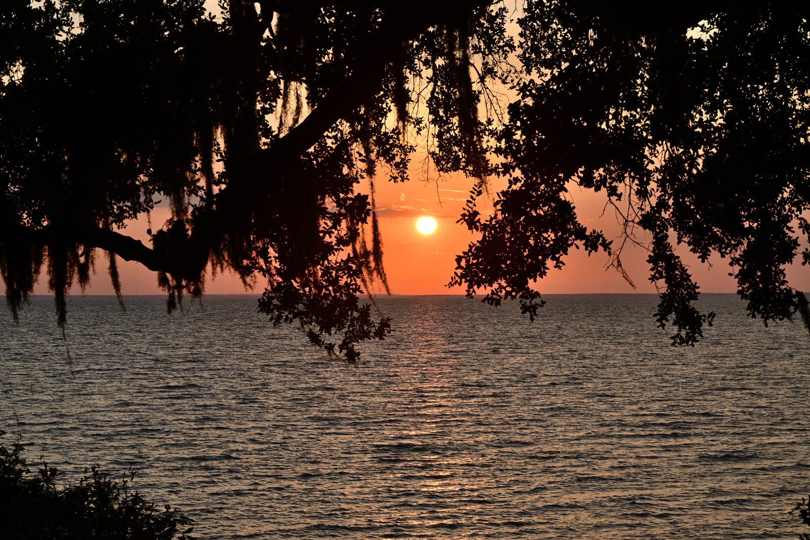 Sunset over Mobile Bay JUL 22 2025