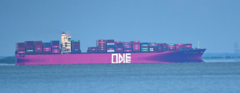 The container ship One Continuity