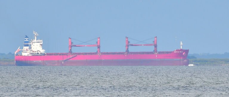 Bulk carrier Gentle Seas