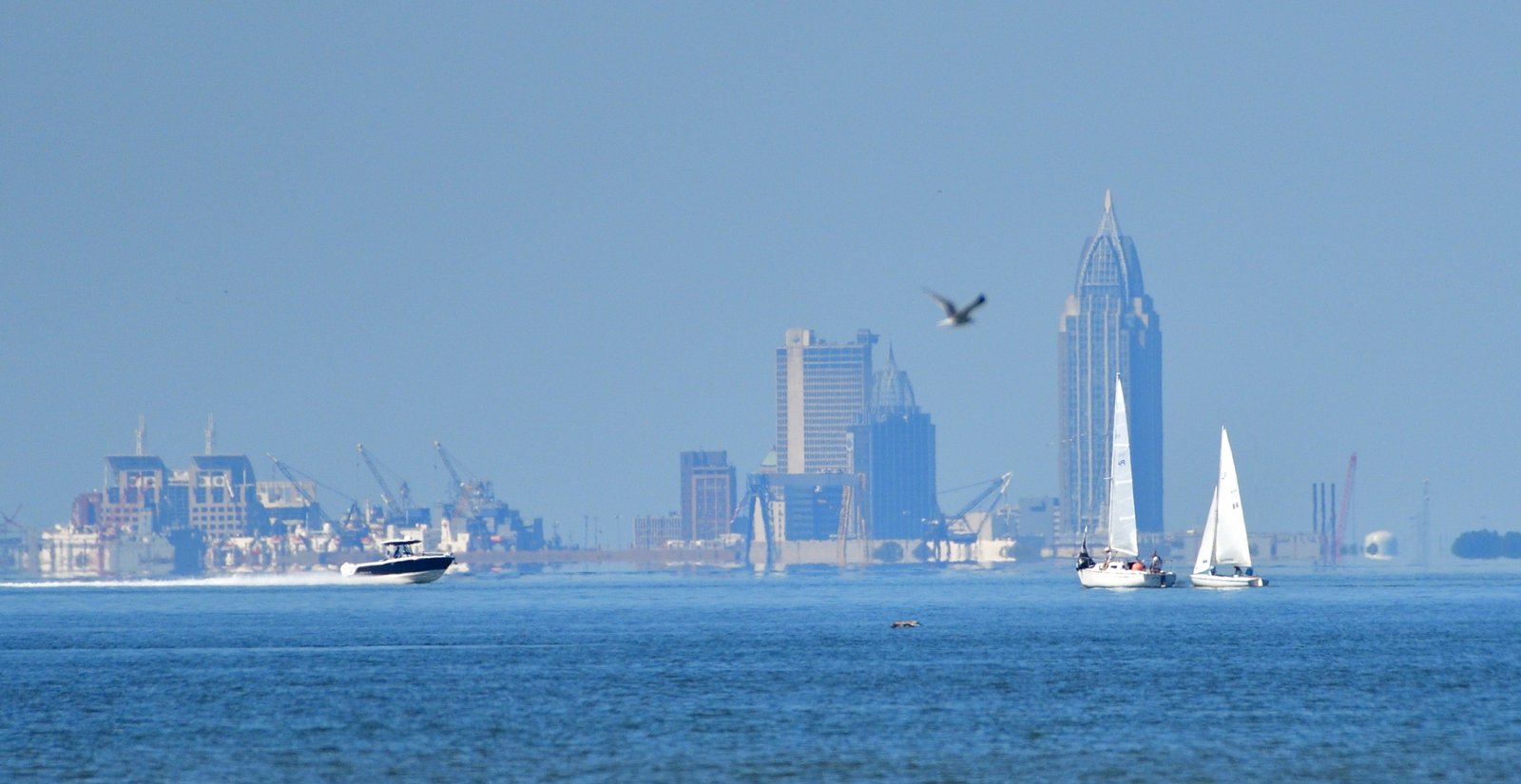 Eastern Shore living