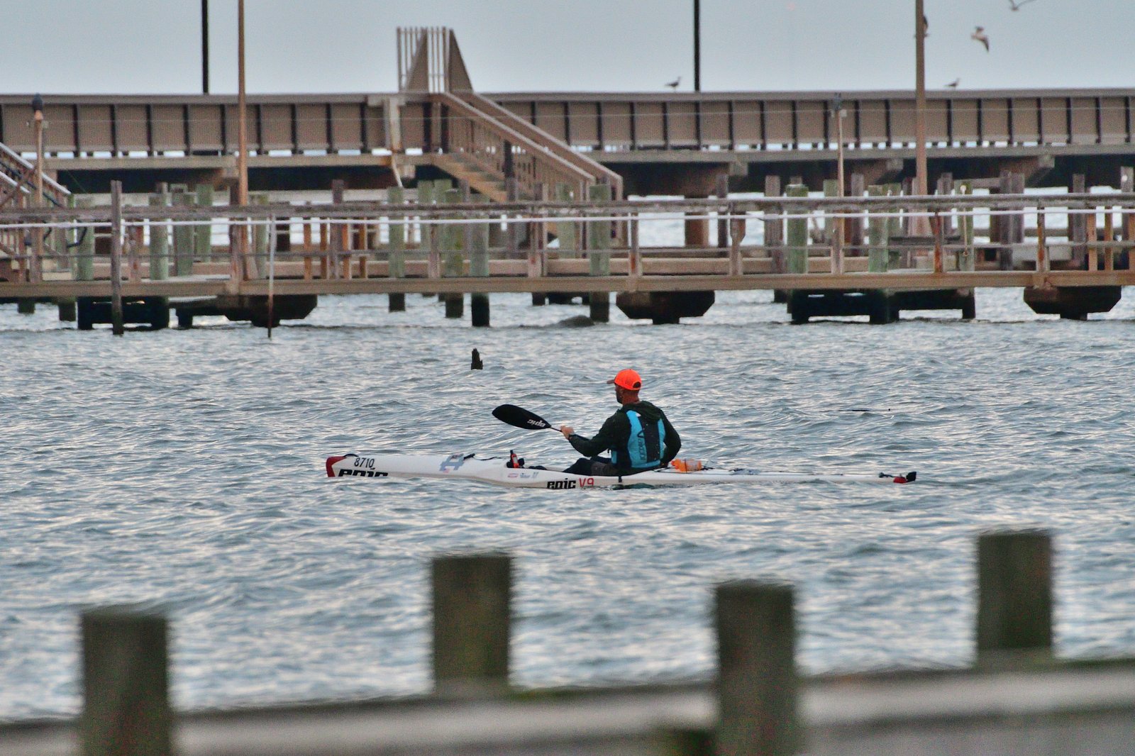 Paddle race contestant Jake VanLue approaches the Fairhope pier OCT 11 2025.