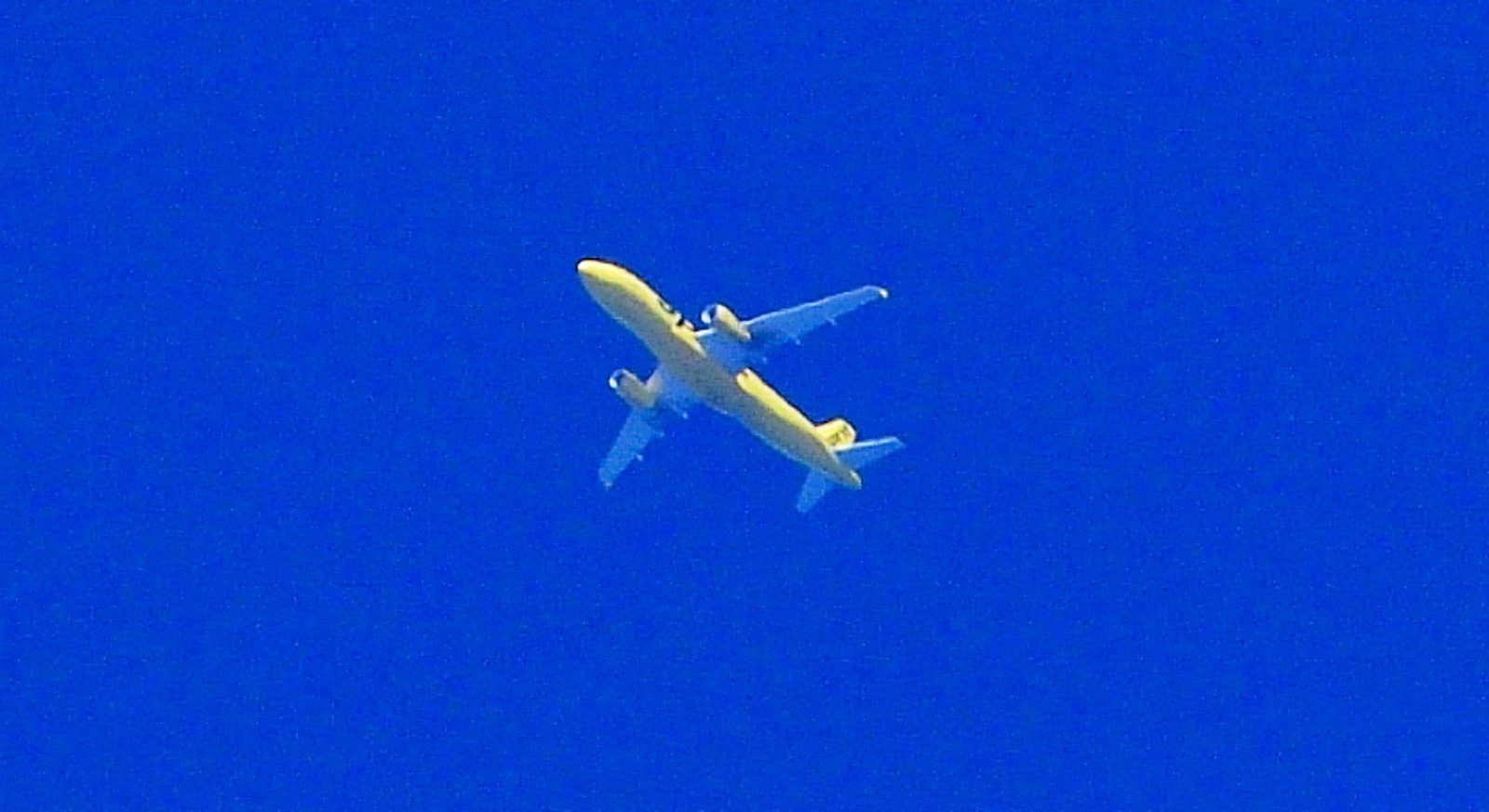 Spirit Airlines flight 1522 passes over Fairhope OCT 20th 2025