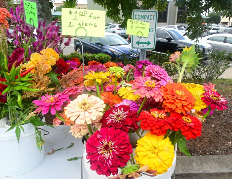 OCT 2nd Farmer’s Market