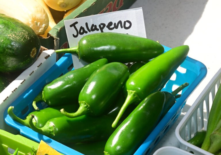 Fairhope Farmer's Market OCT 9th 2025