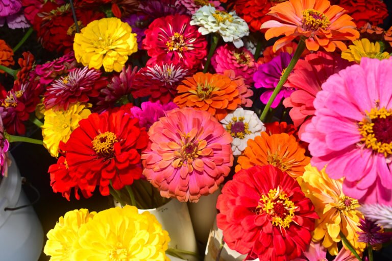 Fairhope Farmer's Market OCT 16 2025