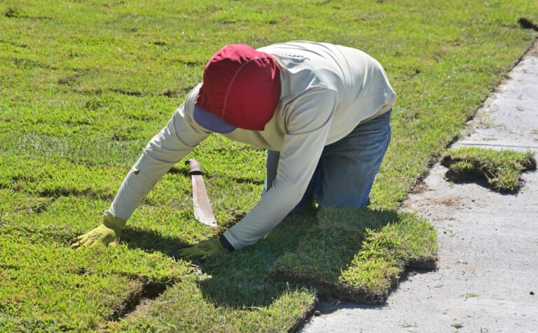 Fairhope's Working Waterfront Project