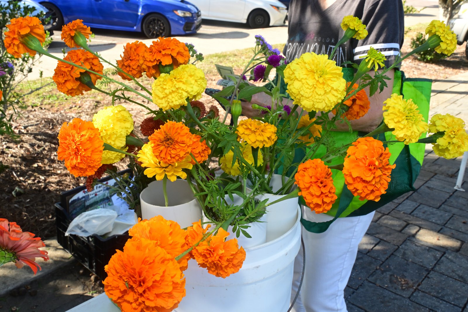 Fairhope Farmer's Market NOV 6th 2025