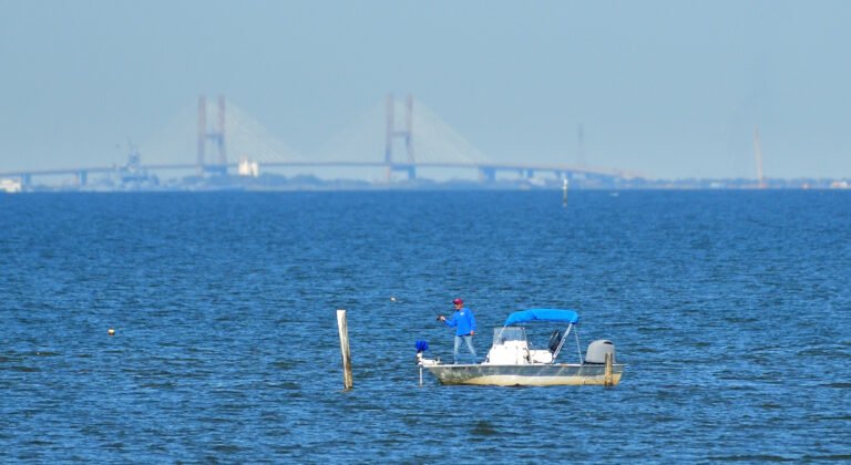 Fishing on Mobile Bay NOV 5th 2025