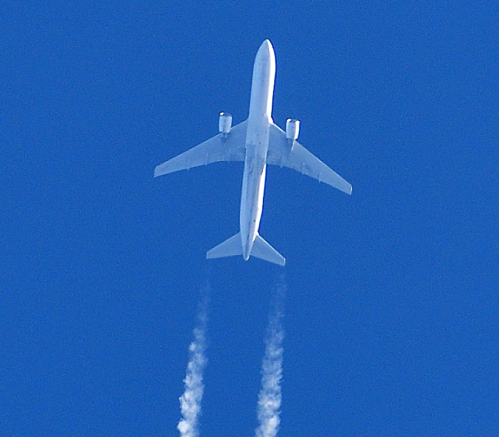 Amazon Air flight 3106 passes over Fairhope NOV 23rd 2025