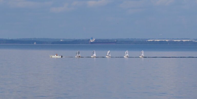 Sailboats on Mobile Bay NOV 8th 2025
