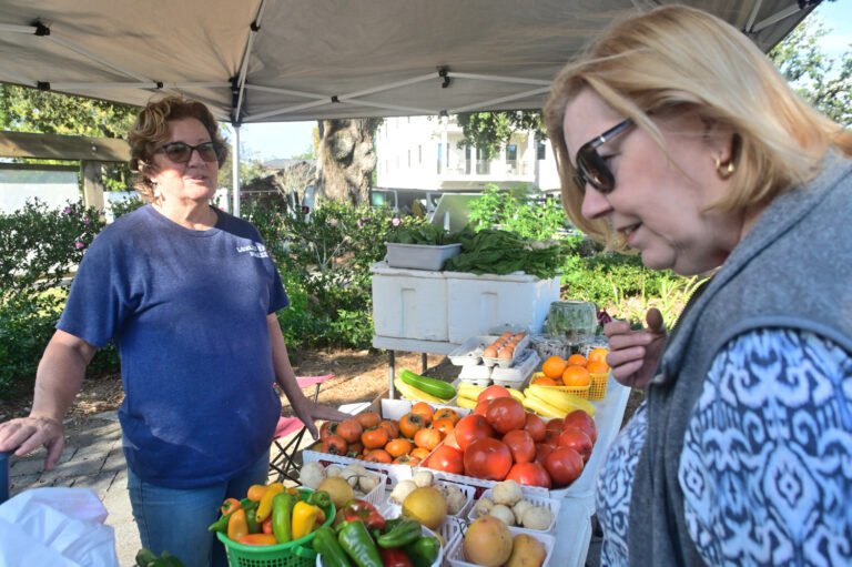 Fairhope Farmer's Market NOV 13th 2025