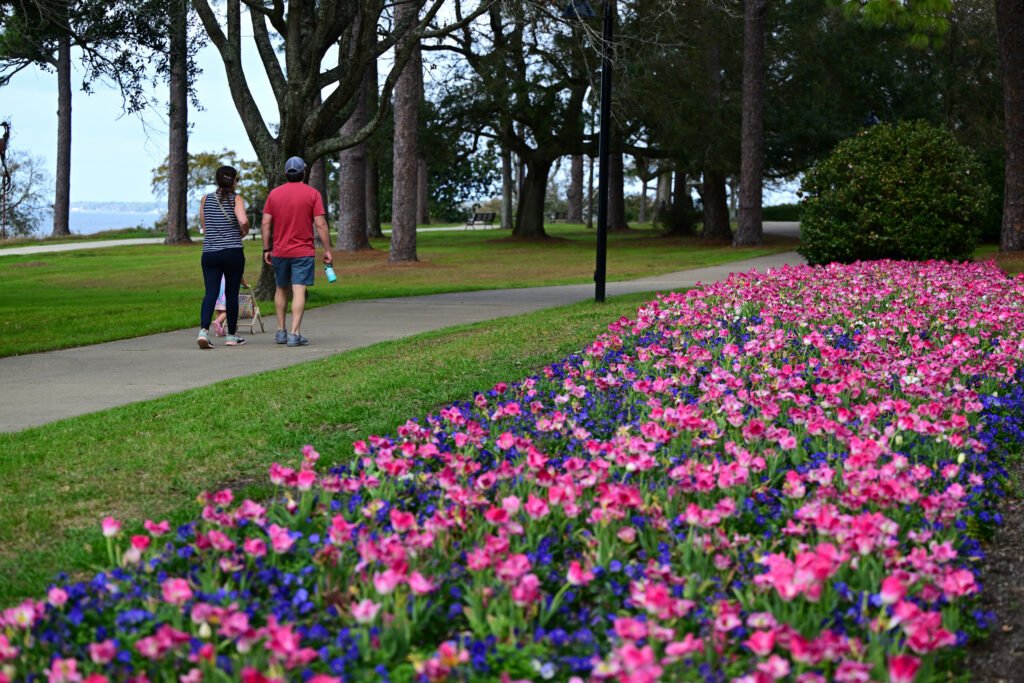 February flowers in Fairhope