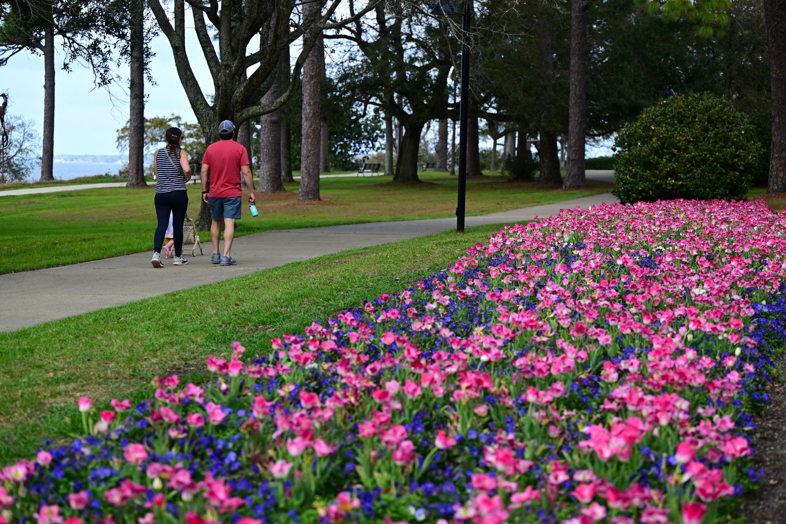 February flowers in Fairhope