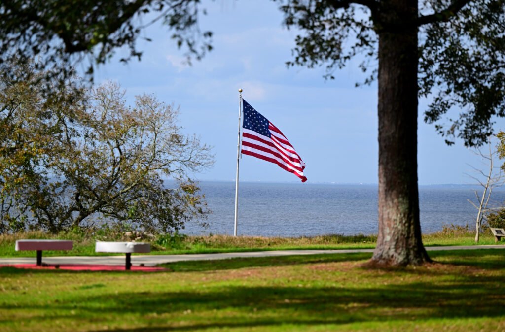 February flowers in Fairhope