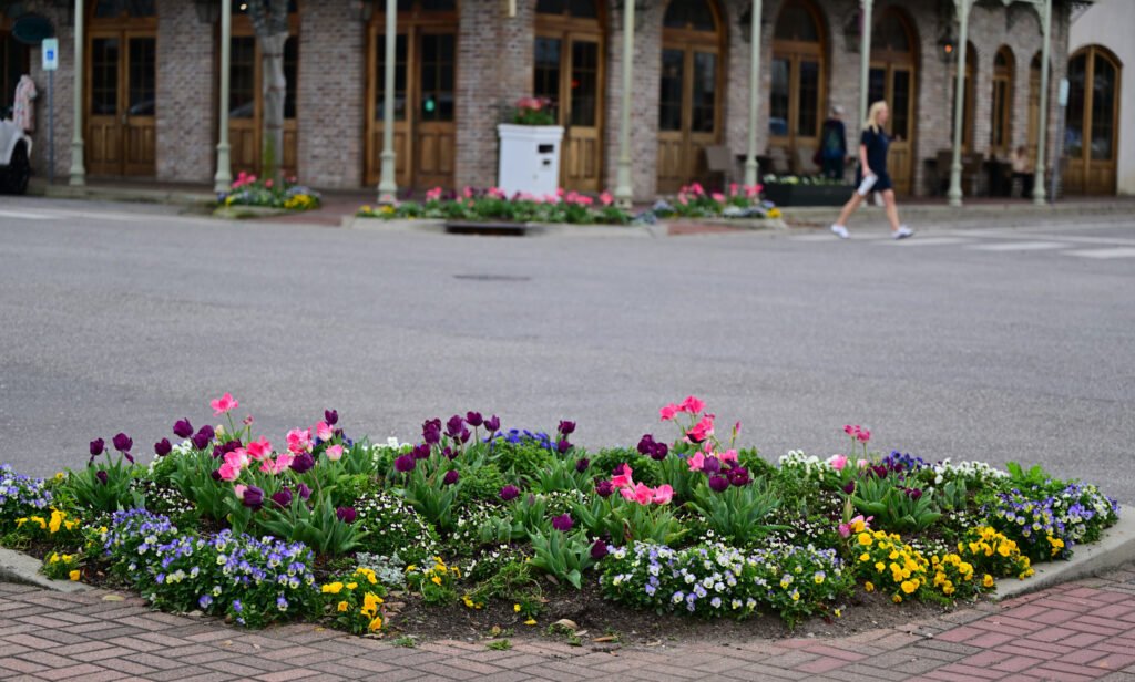 February flowers in Fairhope