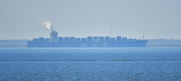 The container ship MSC Ela arrives in Mobile FEB 8th 2026