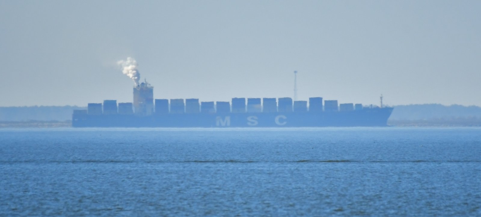 The container ship MSC Ela arrives in Mobile FEB 8th 2026