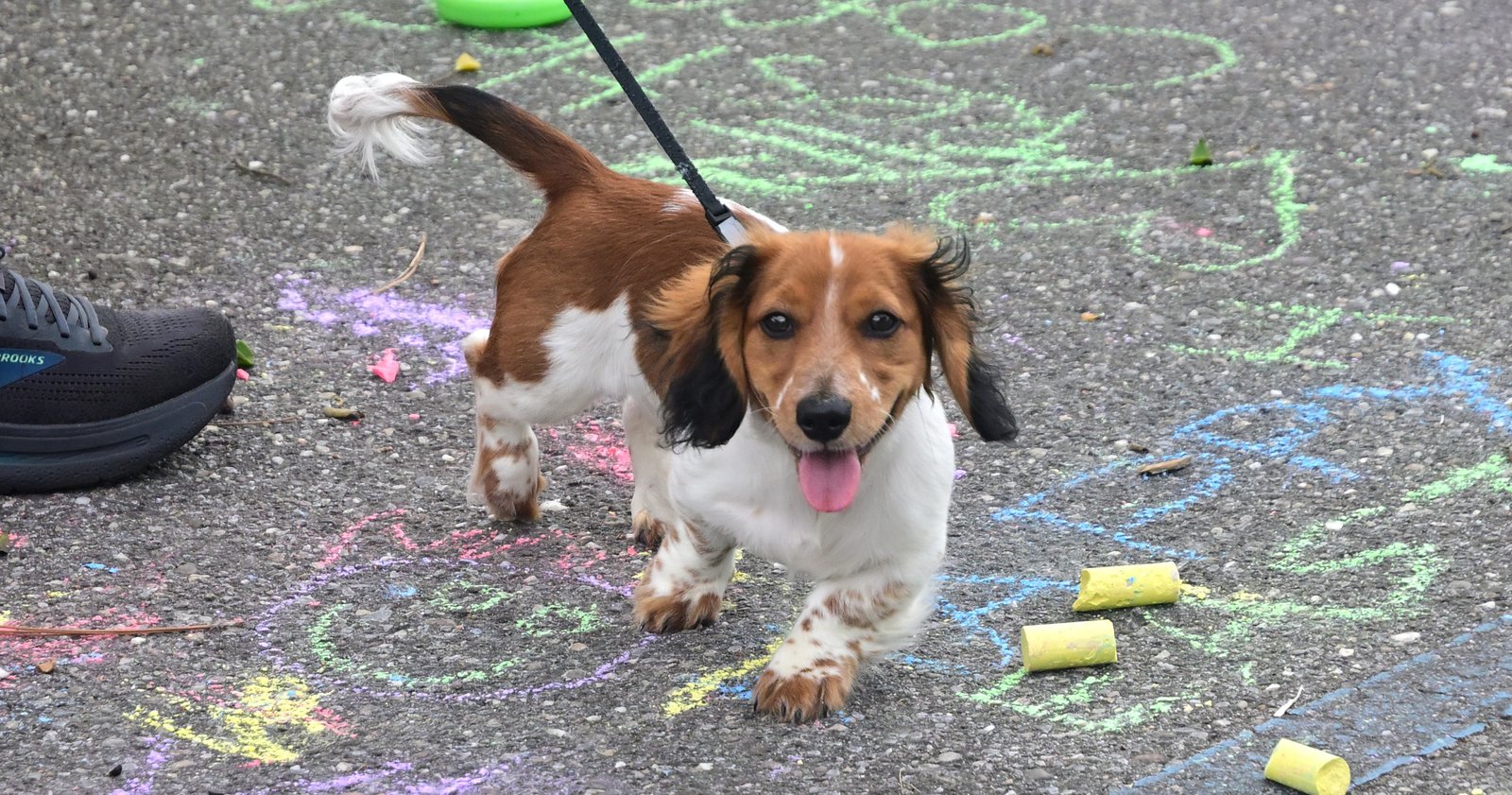 Fairhope Farmer's Market APR 04 2026