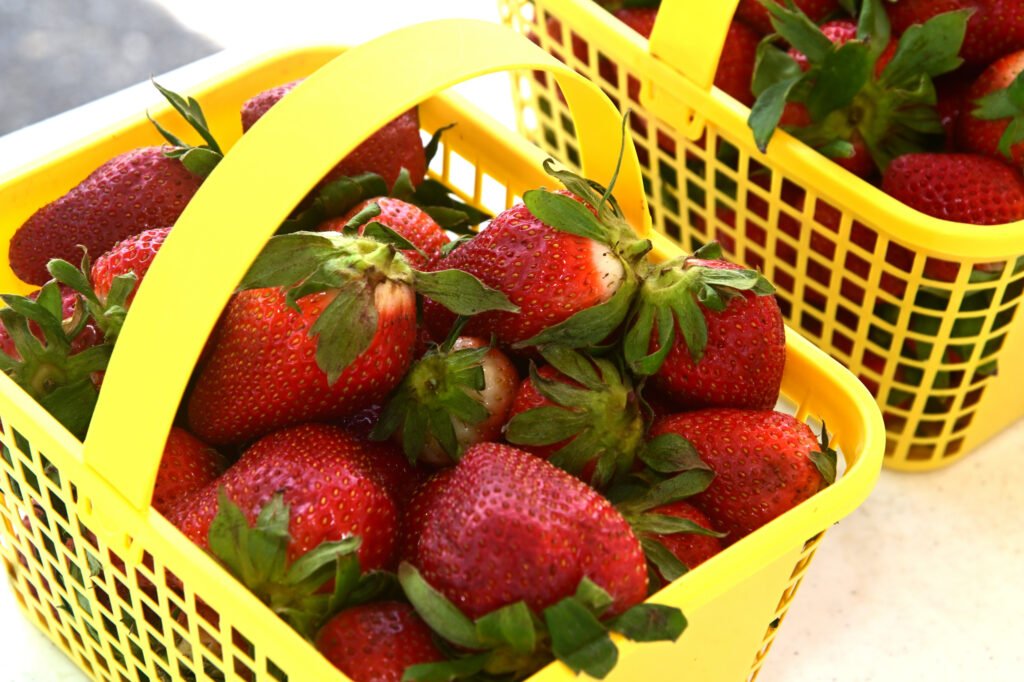 Fairhope Farmer's Market APR 09 2026