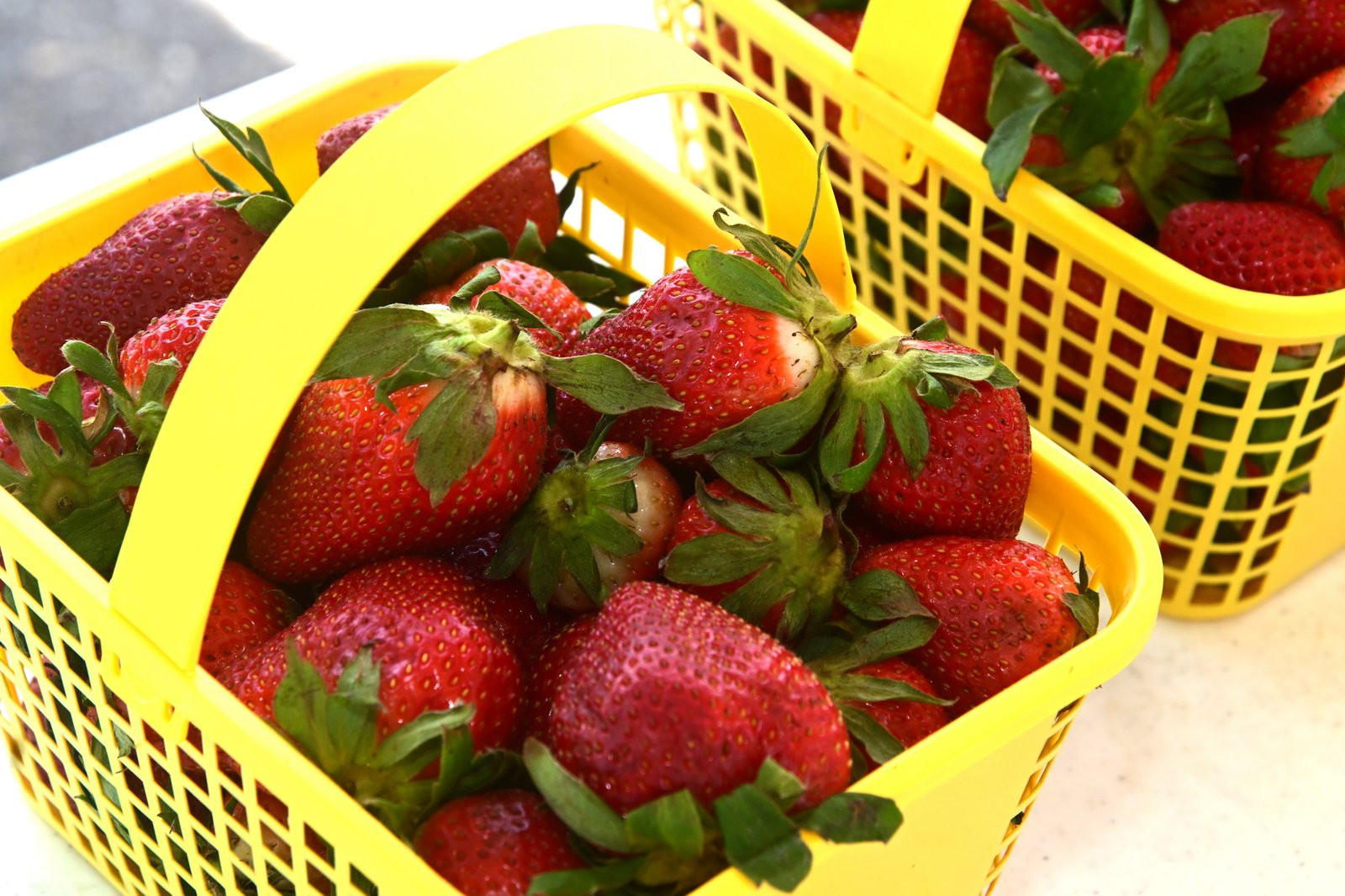 Fairhope Farmer's Market APR 09 2026