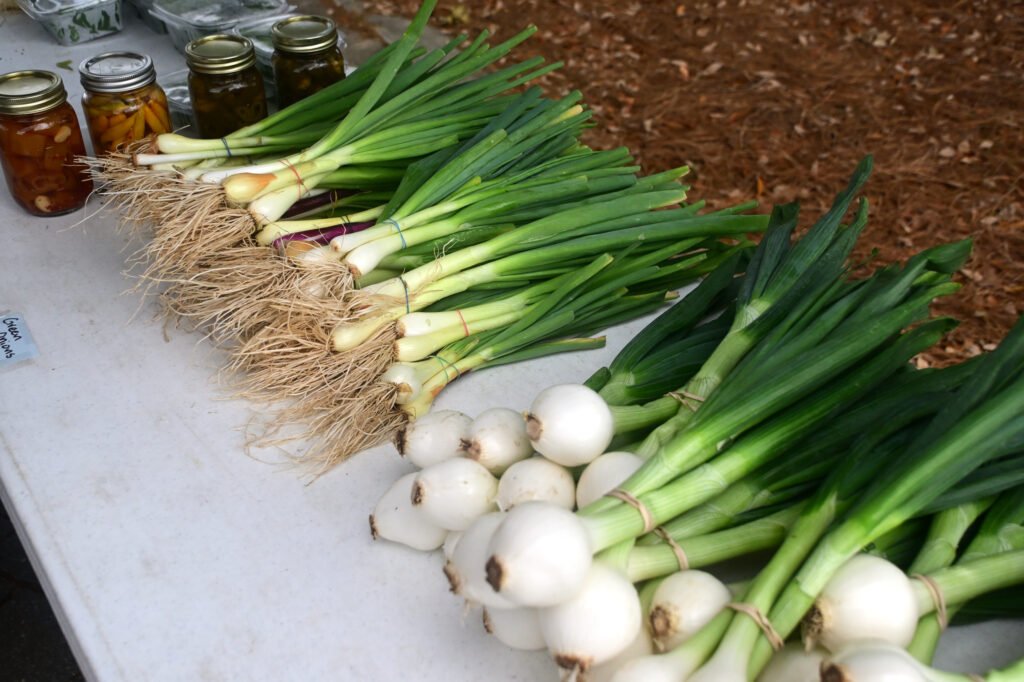 Fairhope Farmer's Market APR 04 2026