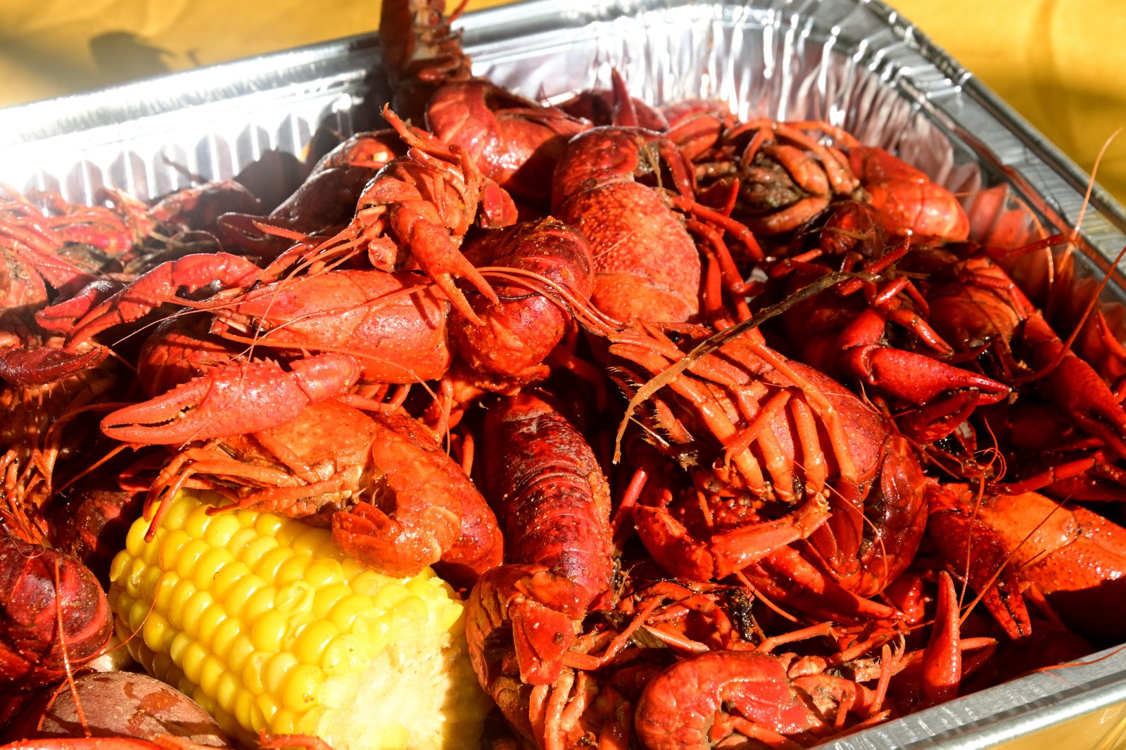 Boil on the Bay in Fairhope APR 11 2026