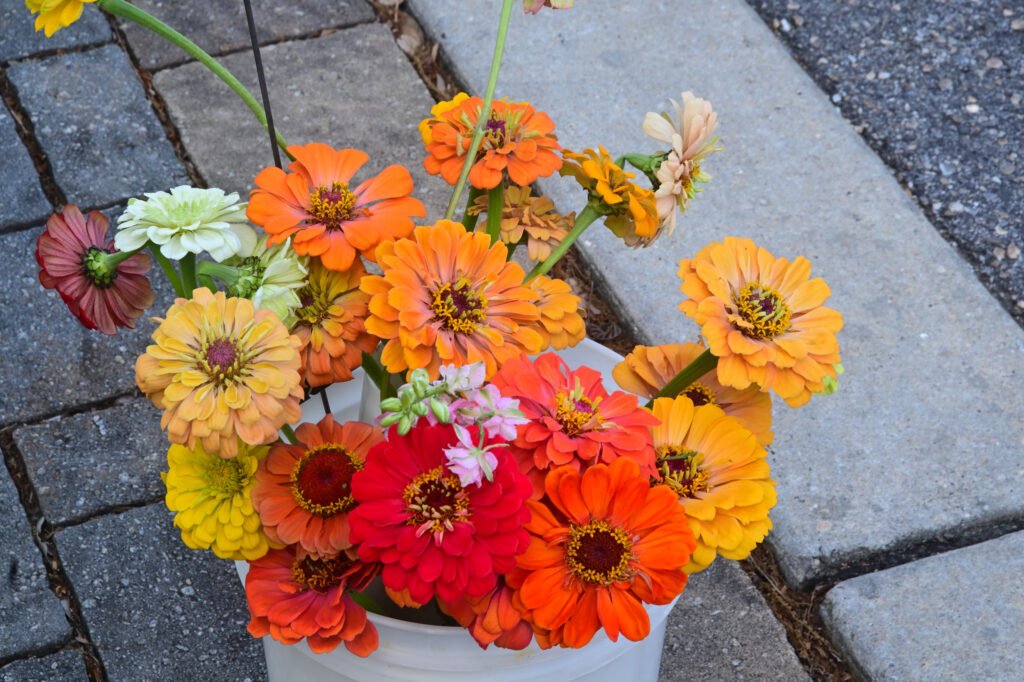 Fairhope Farmer's Market APR 09 2026