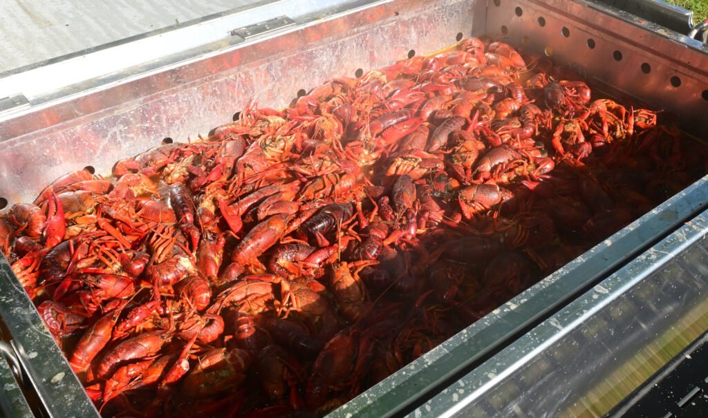 Boil on the Bay in Fairhope APR 11 2026