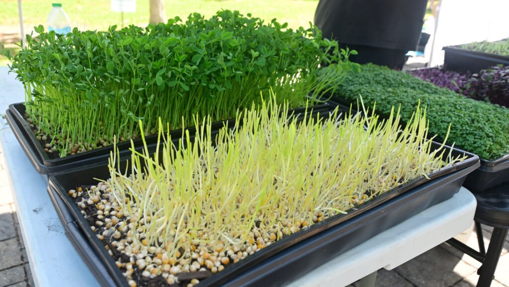 Fairhope Farmer's Market APR 09 2026