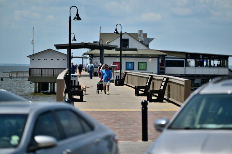 Roses of Fairhope